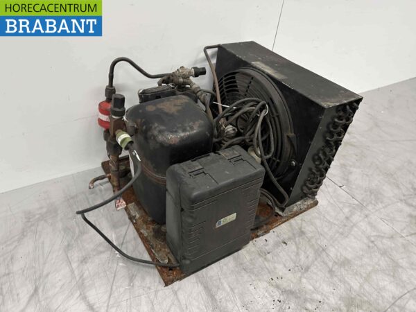 Tecumseh Cooling motor cooling group cooling unit HP 1 HP 230V - Image 4