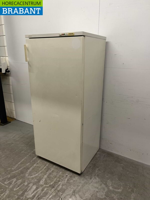 Liebherr GS 5203 Freezer cabinet freezer 520 liters 230V Horeca - Image 2