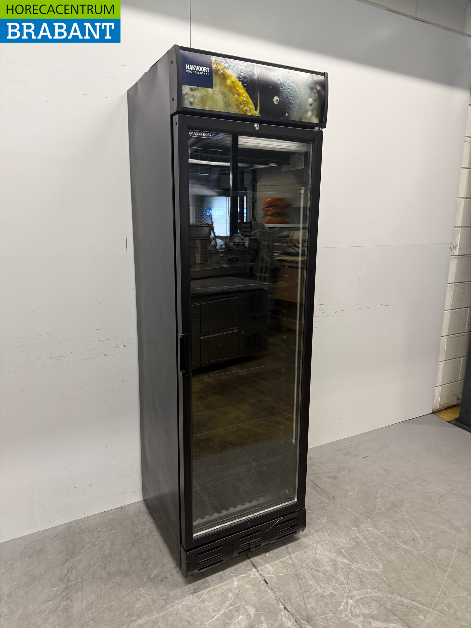 Maxxfrost Glass-Door Refrigerator, 382 liters, 230V, Commercial Use - Image 3
